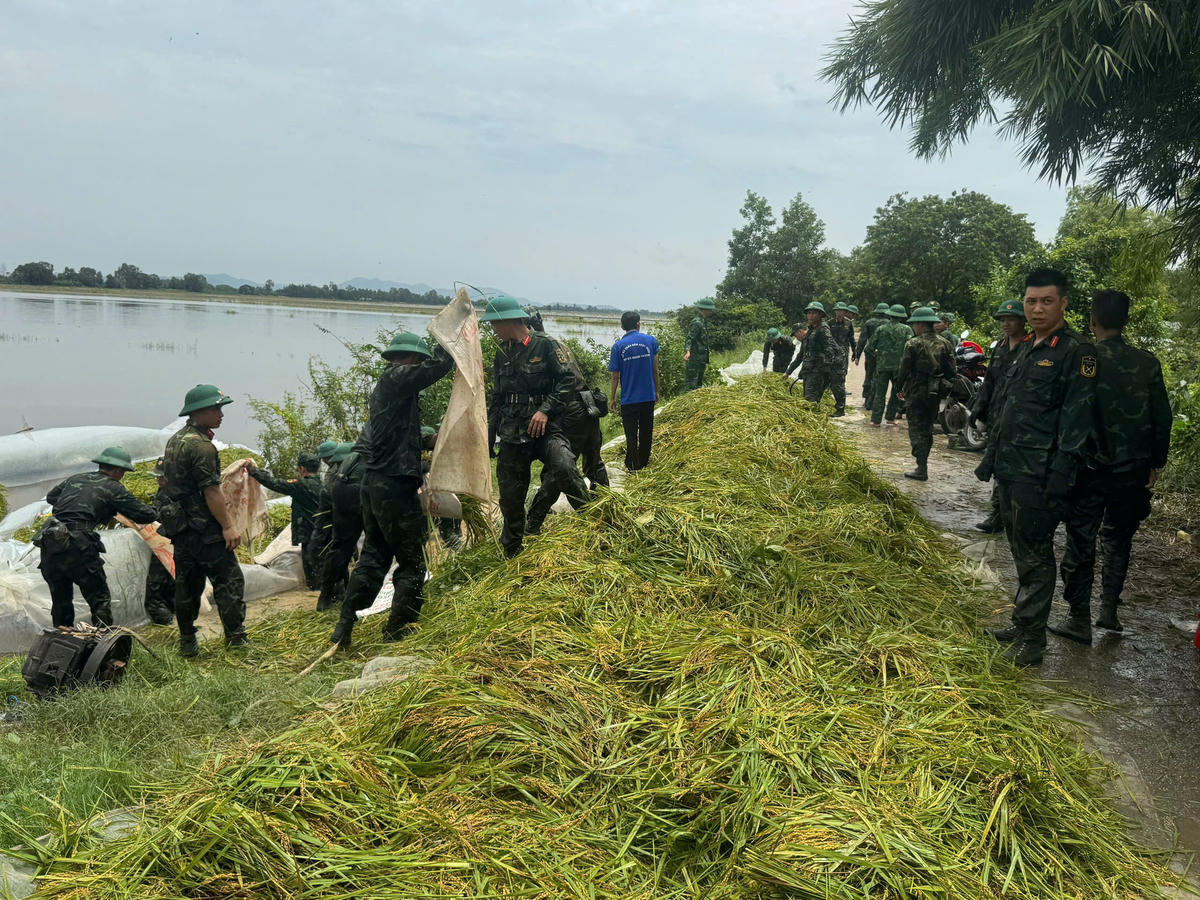 An Giang: Bộ đội dầm mình trong nước, giúp dân cứu lúa
