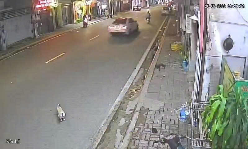 TP Hồ Chí Minh: Ứng dụng “mắt thần” quản lý đô thị