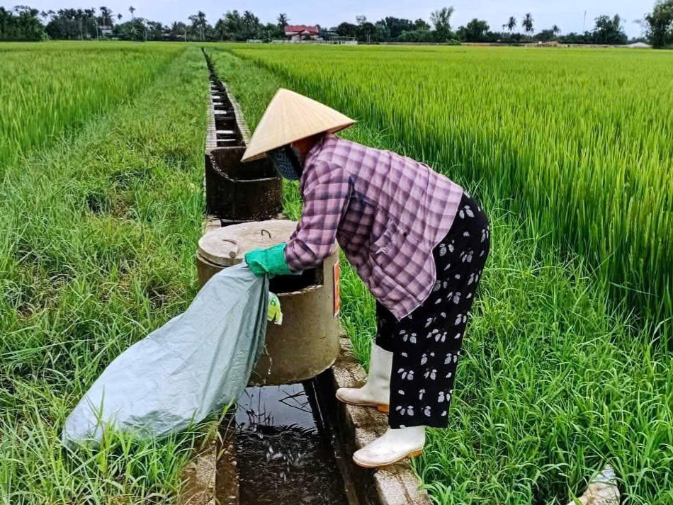 Thanh Hóa: Giữ lại màu xanh cho ruộng đồng
