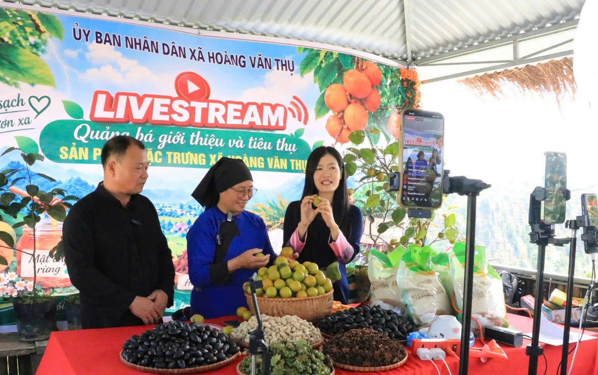 Lễ hội hồng Vành khuyên năm 2026 vừa được tổ chức tại xã Hoàng Văn Thụ (tỉnh Lạng Sơn) với nhiều hoạt động như livestream quảng bá sản phẩm.
