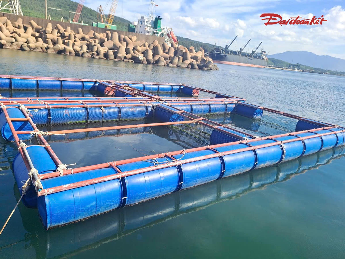 Lồng bè ở thôn Hải Phong, phường Vũng Áng, nơi phát hiện cá nuôi chết. Ảnh: HN.