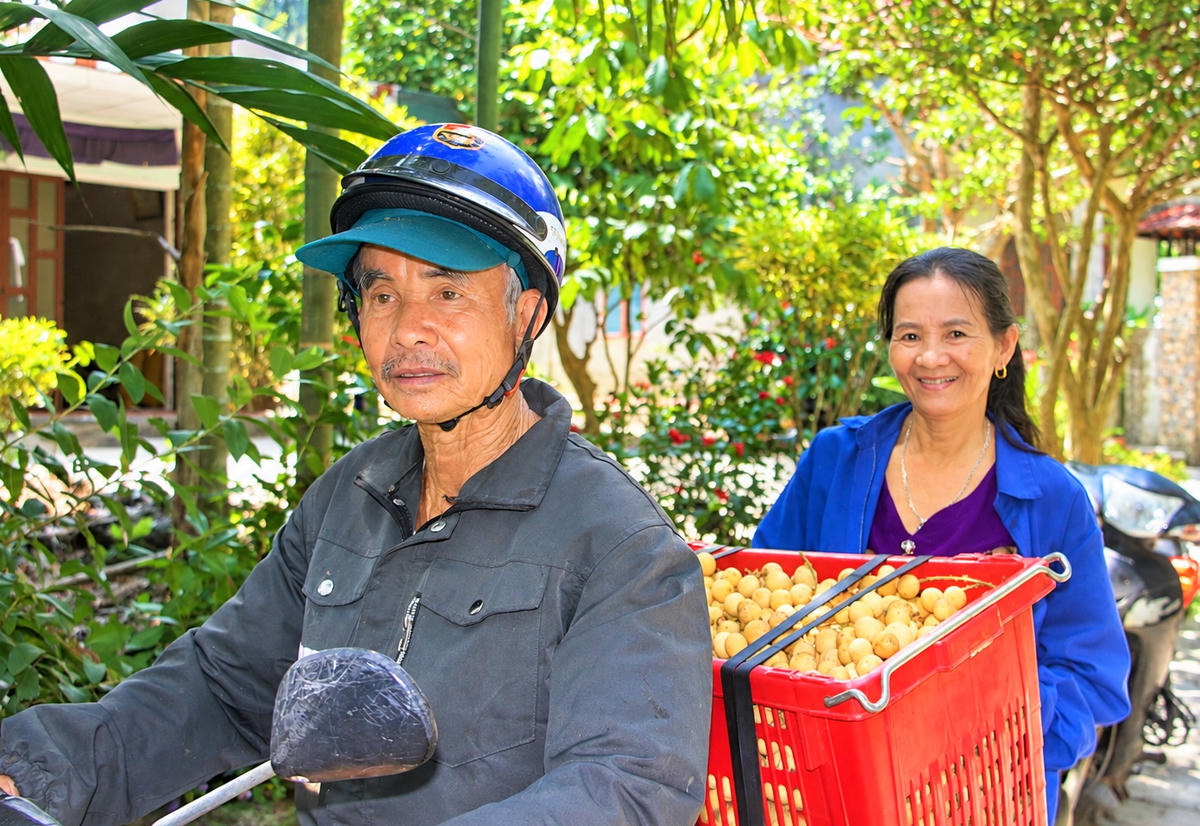 Bà Nguyễn Thị Thanh cùng chồng chở bòn bon đi bán. Ảnh: CĐ.
