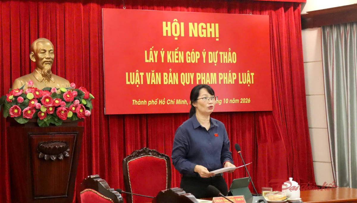 Bà Trần Thị Diệu Thúy, Thành ủy viên, Phó Trưởng đoàn chuyên trách Đoàn ĐBQH TPHCM phát biểu tại hội nghị. Ảnh: H.Phúc.