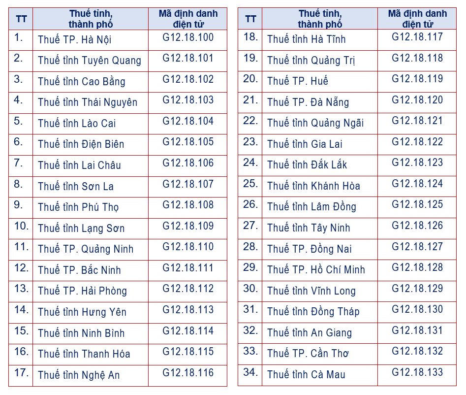 Cơ quan thuế các cấp dùng mã định danh điện tử mới từ tháng 10/2026. Ảnh: GDT.