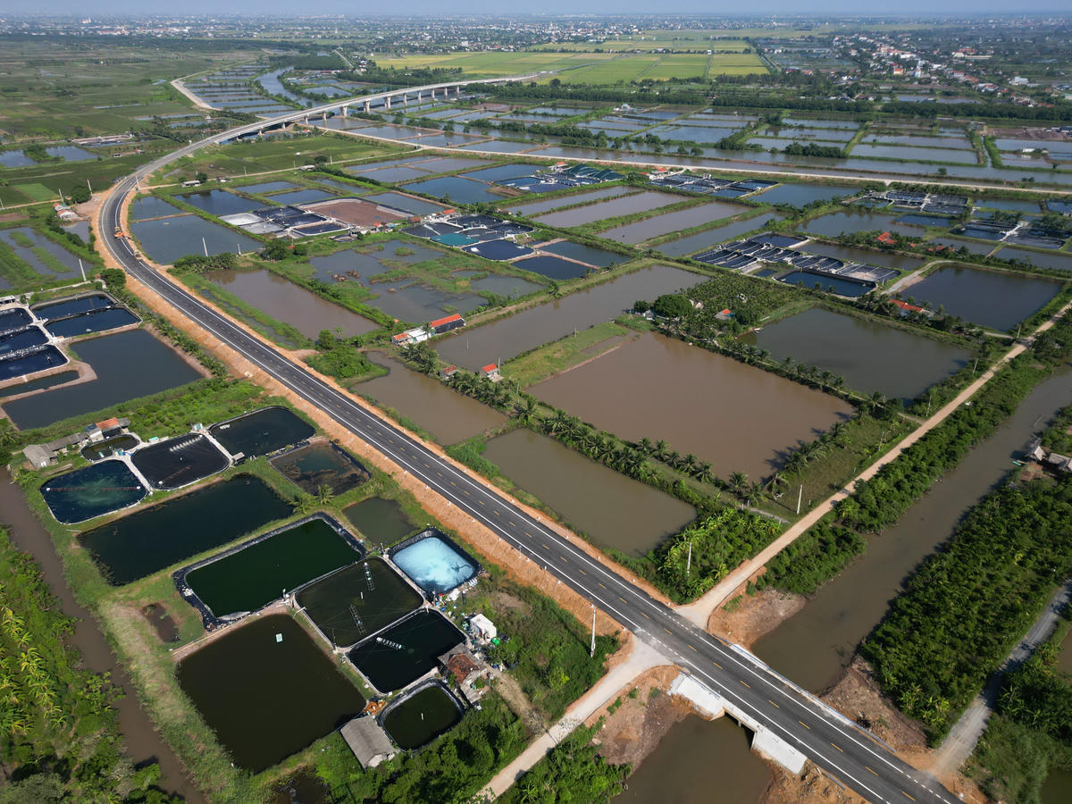 Điểm đầu tuyến tại xã Tân Tiến, kết nối với đường bộ ven biển qua tỉnh Ninh Bình. Điểm cuối thuộc xã Hoằng Thanh, nối với tuyến đường ven biển đoạn Hoằng Hóa - Sầm Sơn. Công trình được đầu tư theo quy mô đường cấp III đồng bằng, nền đường rộng 12m, mặt đường và lề gia cố rộng 11m. Ảnh chụp tại xã Tân Tiến, điểm đầu dự án.