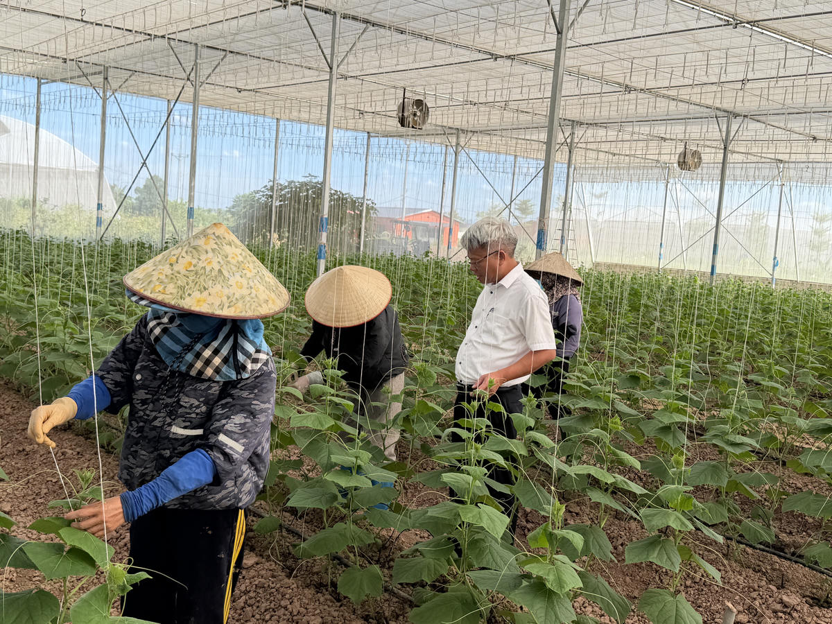 Mô hình nông nghiệp xanh công nghệ cao tại xã Hồng Sơn.