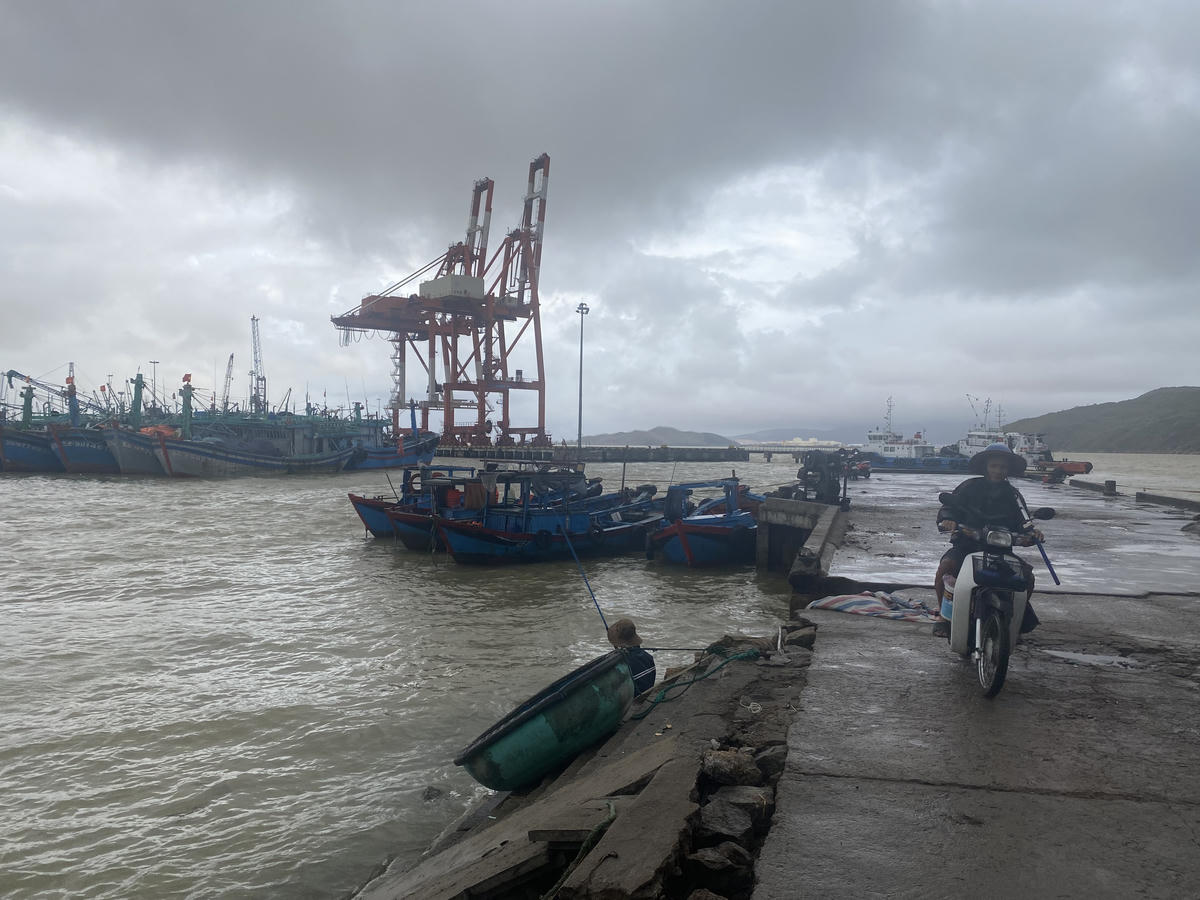 Ảnh trưng bày tại triển lãm của các tác giả: Nicolas Cornet, Vũ Khôi Nguyên và Alexis Chaigneau do Ban tổ chức cung cấp.