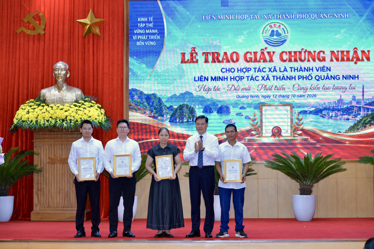 Ông Ngô Tất Thắng, Chủ tịch Liên minh HTX TP Quảng Ninh trao giấy Chứng nhận cho 4 đơn vị trở thành thành viên Liên minh HTX thành phố.