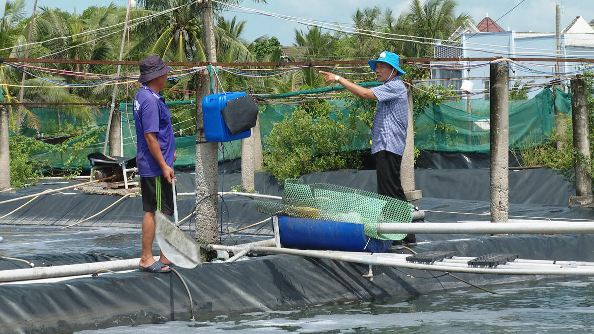 Ông Hiệp cho rằng làm nông nghiệp phải biết đi trước, mạnh dạn áp dụng kỹ thuật và liên kết với các đơn vị chuyên môn. Ảnh: Nguyên Du