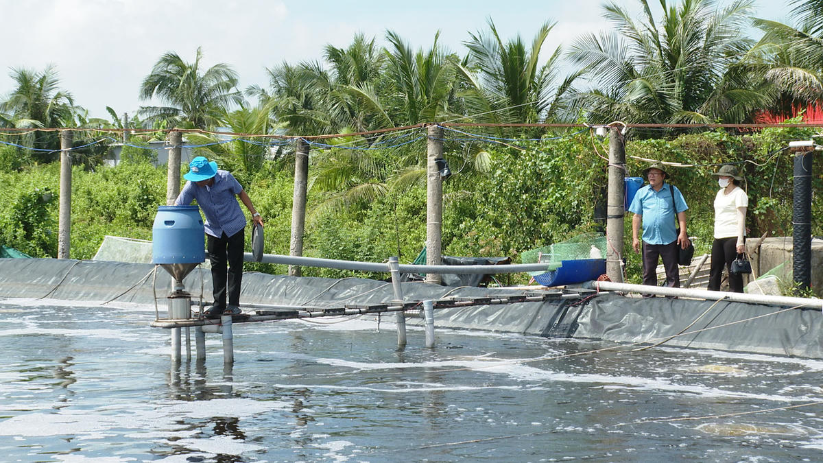 Hệ thống ao nuôi tôm được ông Hiệp đầu tư bài bản, áp dụng nhiều giải pháp kỹ thuật để kiểm soát môi trường nước.  Ảnh: Nguyên Du