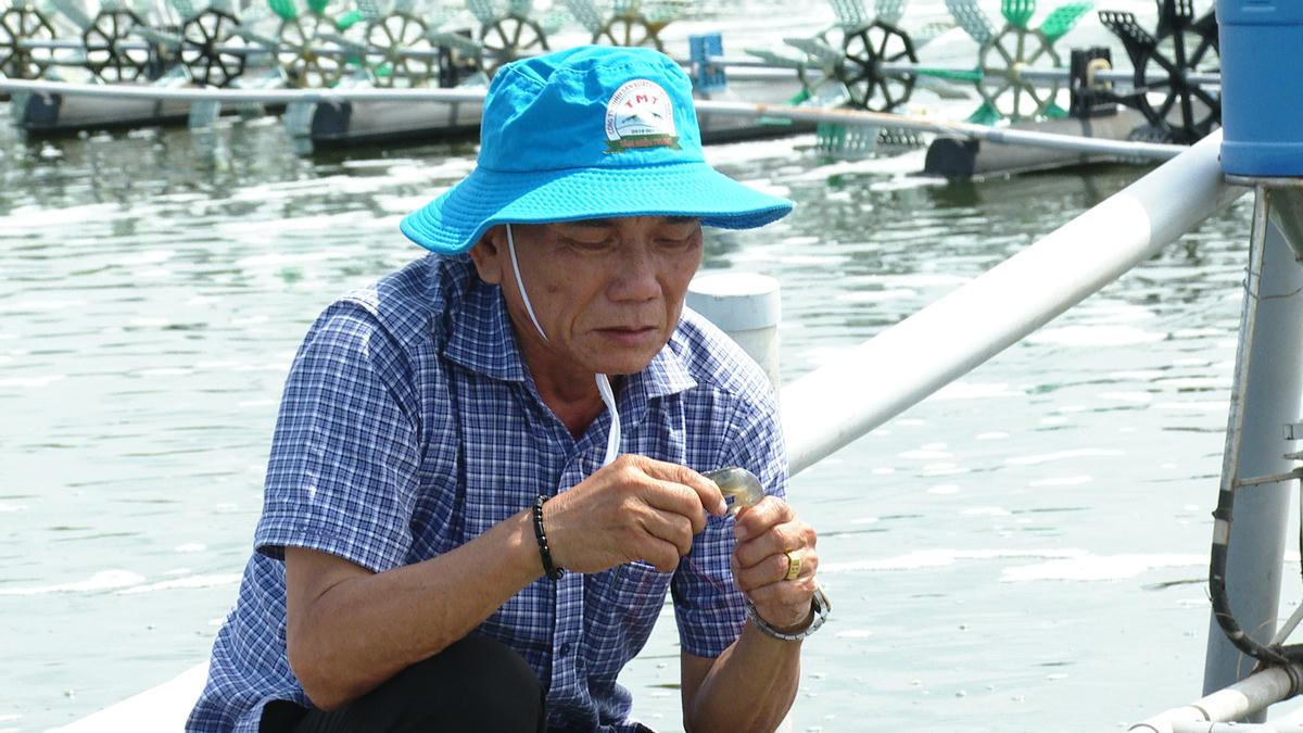  Ông Bùi Nghĩa Hiệp bên những ao tôm mang lại nguồn thu tiền chục tỷ mỗi năm . Ảnh: Nguyên Du
