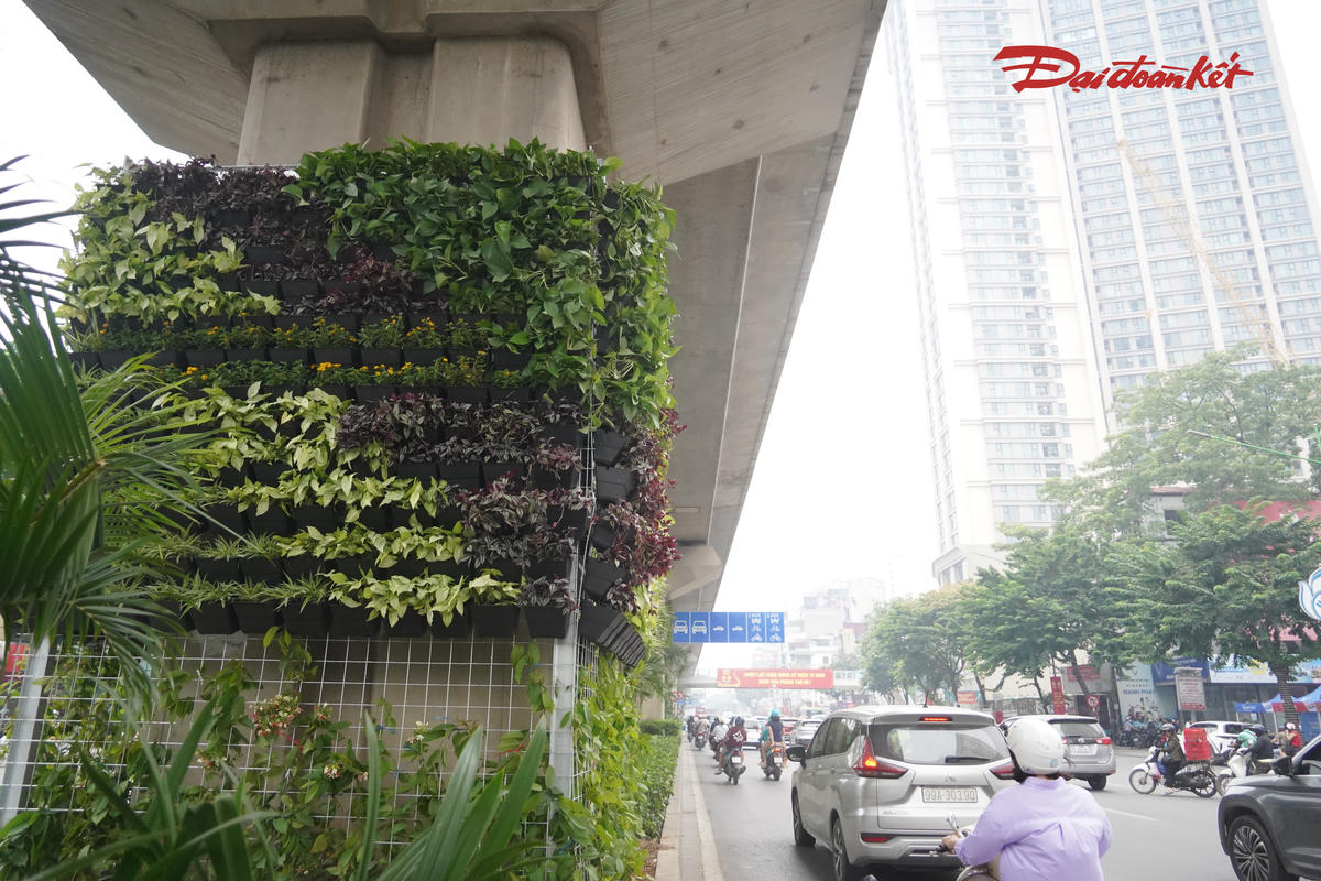 Từ thực tế này, việc mở rộng thí điểm tại các trụ đường sắt trên cao, cầu vượt, hầm chui và nhà chờ xe buýt được kỳ vọng tạo thêm những mảng xanh tại các tuyến đường có mật độ giao thông cao. Tuy nhiên, hiệu quả của phương án không chỉ phụ thuộc vào hình thức bố trí ban đầu mà còn ở khả năng duy trì cây xanh trong quá trình khai thác công trình.