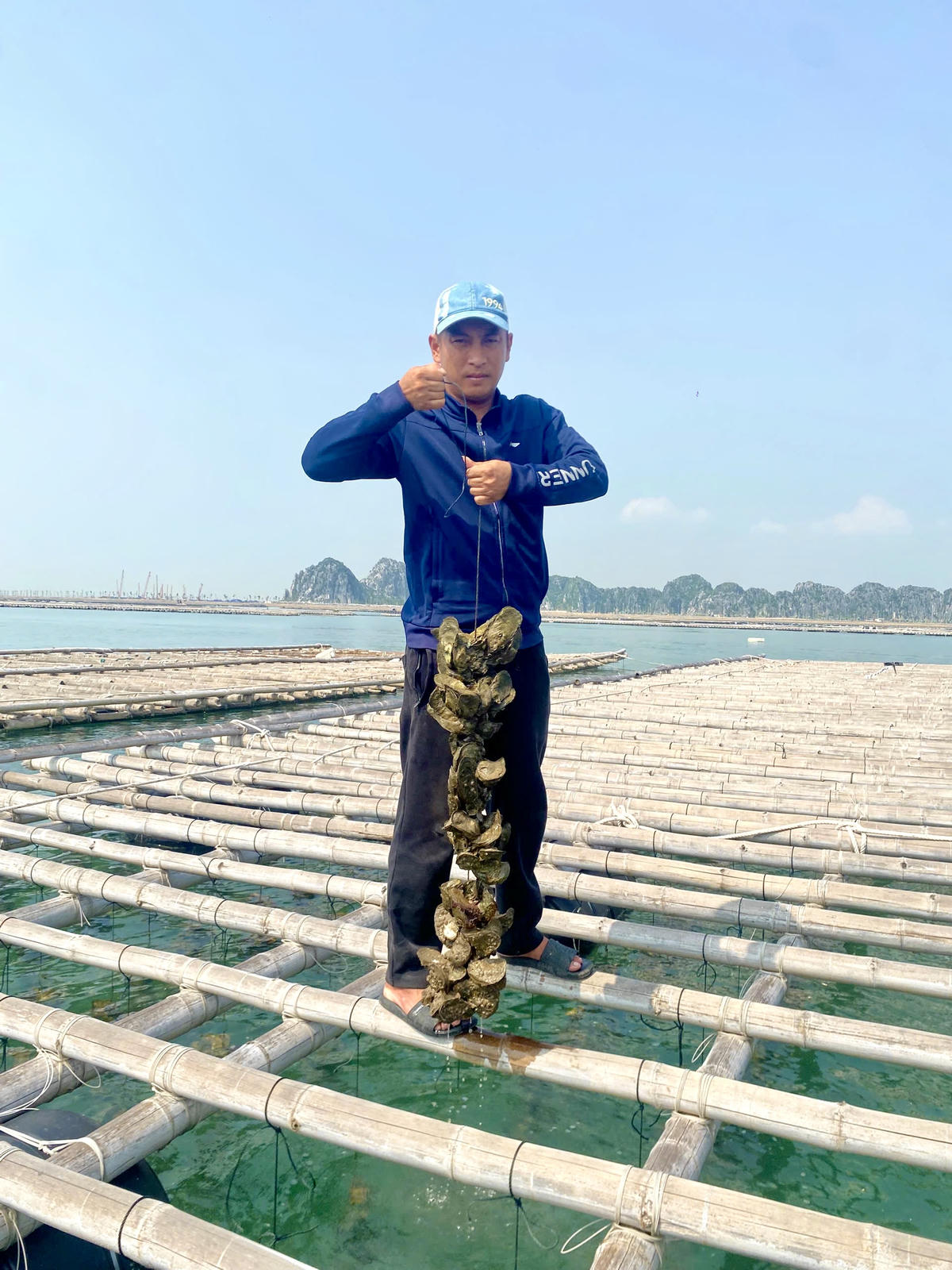 Các HTX mong muốn chính quyền thành phố có quyết sách giải quyết kiến nghị của nhân dân một cách thấu tình đạt lý, đảm bảo hài hòa lợi ích.