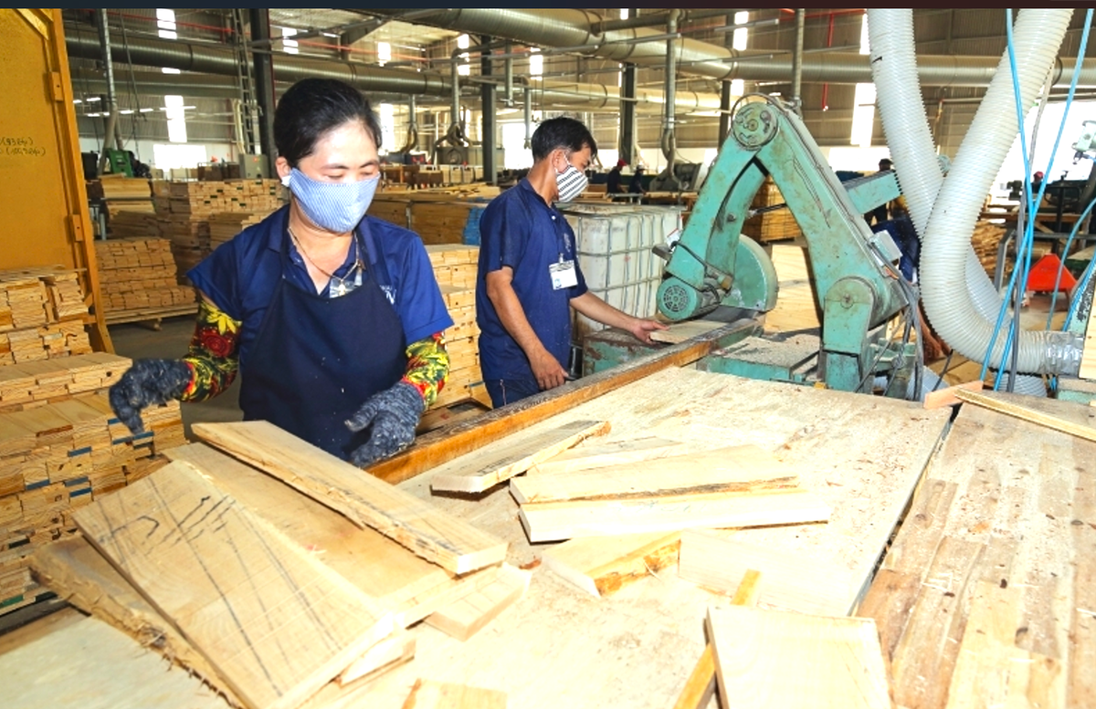 Tháo gỡ rào cản luật để mở rộng xuất khẩu