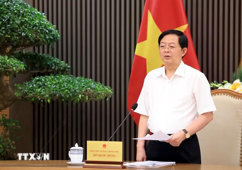 Phó Thủ tướng Hồ Quốc Dũng phát biểu. (Ảnh: Tuấn Anh/TTXVN)