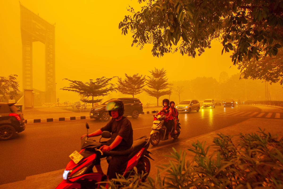 Người dân di chuyển qua làn sương mù dày đặc do cháy rừng ở Palangkaraya, Trung Kalimantan, Indonesia.