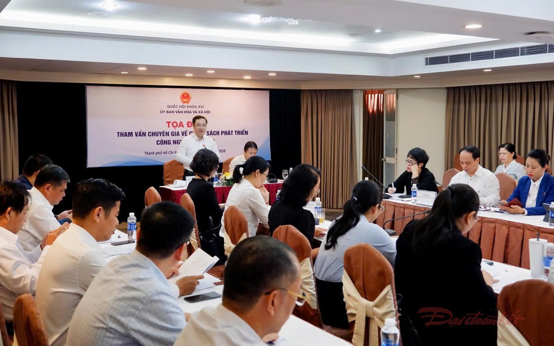 Nhiều đại biểu đề xuất lập trung tâm sáng tạo cấp vùng để mở đường cho công nghiệp văn hóa. Ảnh: H.LÊ.