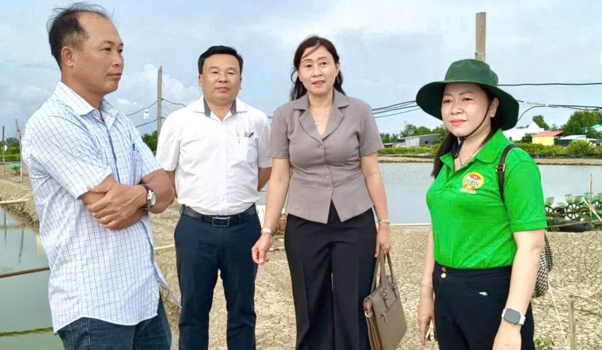 Lãnh đạo xã Hòa Bình khảo sát, đánh giá mô hình rô phi đơn tính ở ấp Vĩnh Thành. Ảnh: Nguyên Du