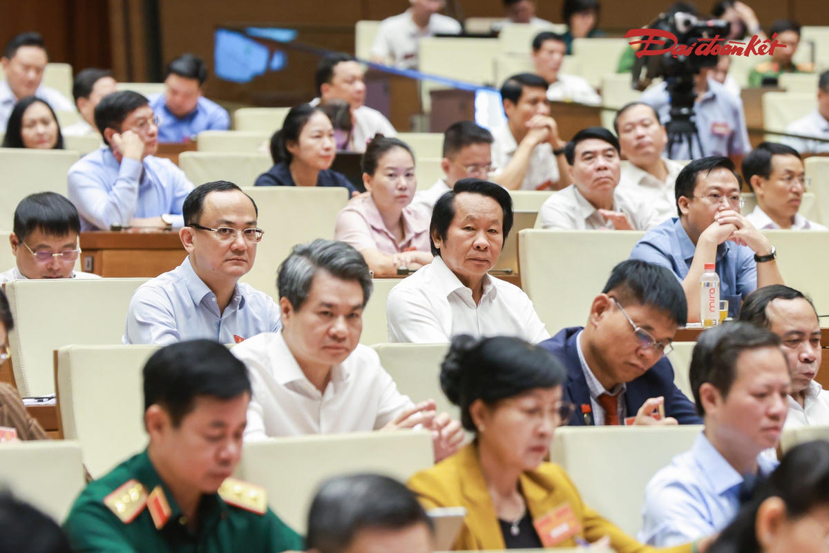 Các đại biểu dự hội nghị tại điểm cầu Trung ương. Ảnh: Quang Vinh