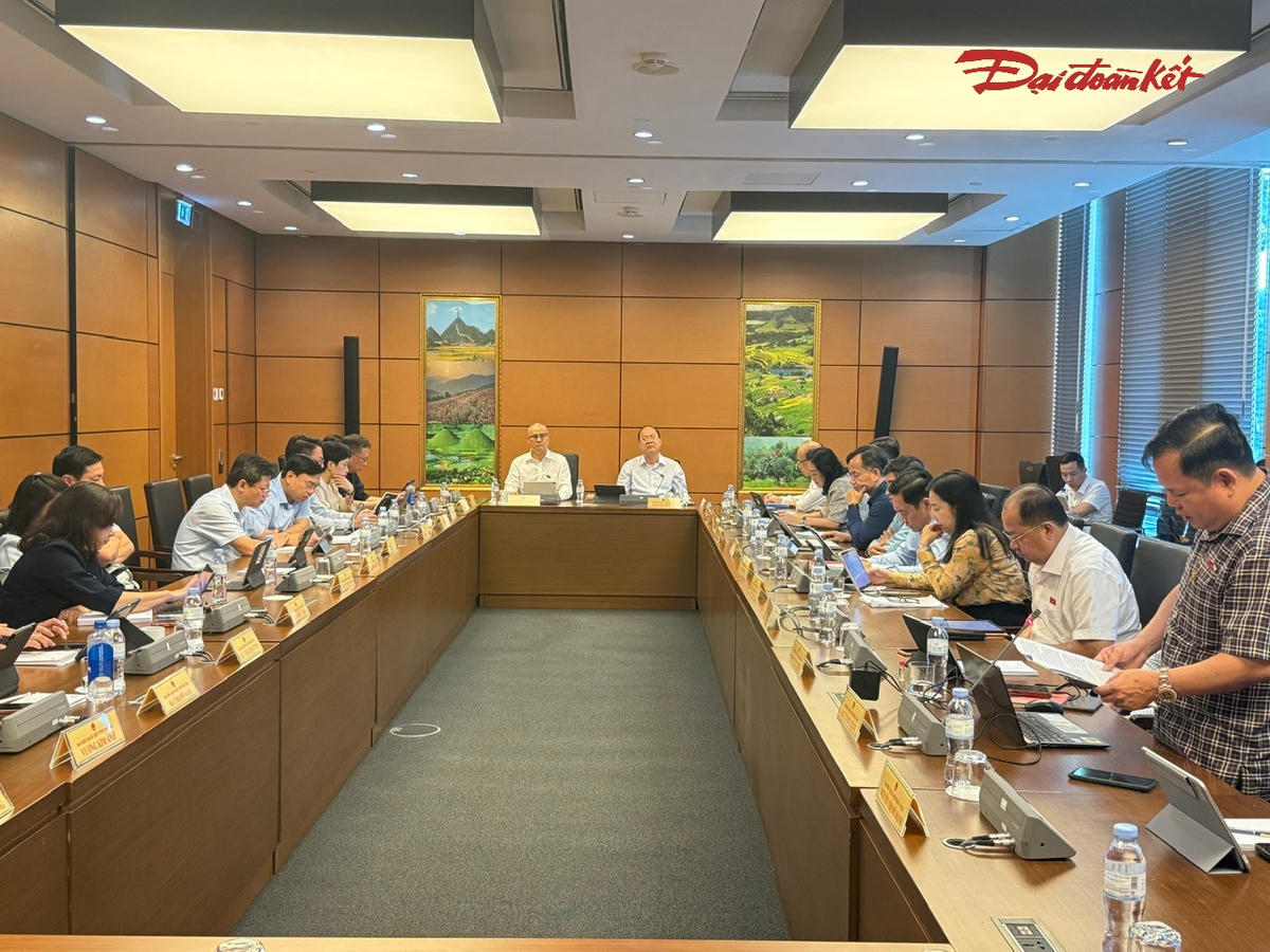 Các đại biểu Tổ 2 tham gia thảo luận (Ảnh: Quang Vinh)