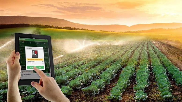 Chuyển đổi số ở hợp tác xã: Không chỉ dừng ở chiếc tem QR