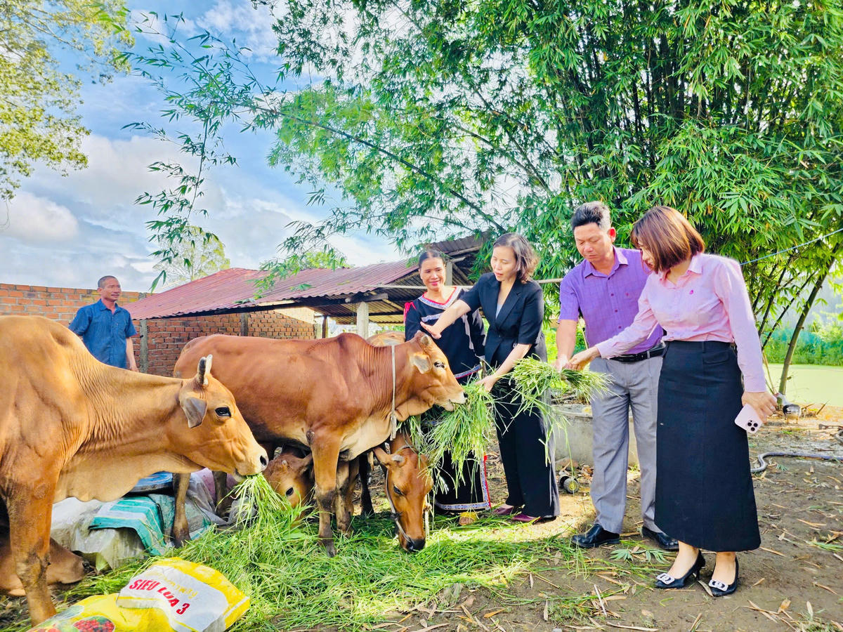 Vốn tín dụng chính sách đã giúp gia đình chị H Nghem Bđap, Buôn Mliêng, xã Đắk Liêng phát triển kinh tế vươn lên thoát nghèo.