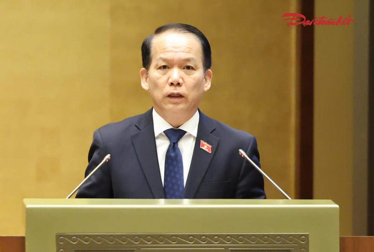Cấm tham gia đấu giá quyền sử dụng đất ở đối với cá nhân trúng đấu giá nhưng “bỏ cọc”