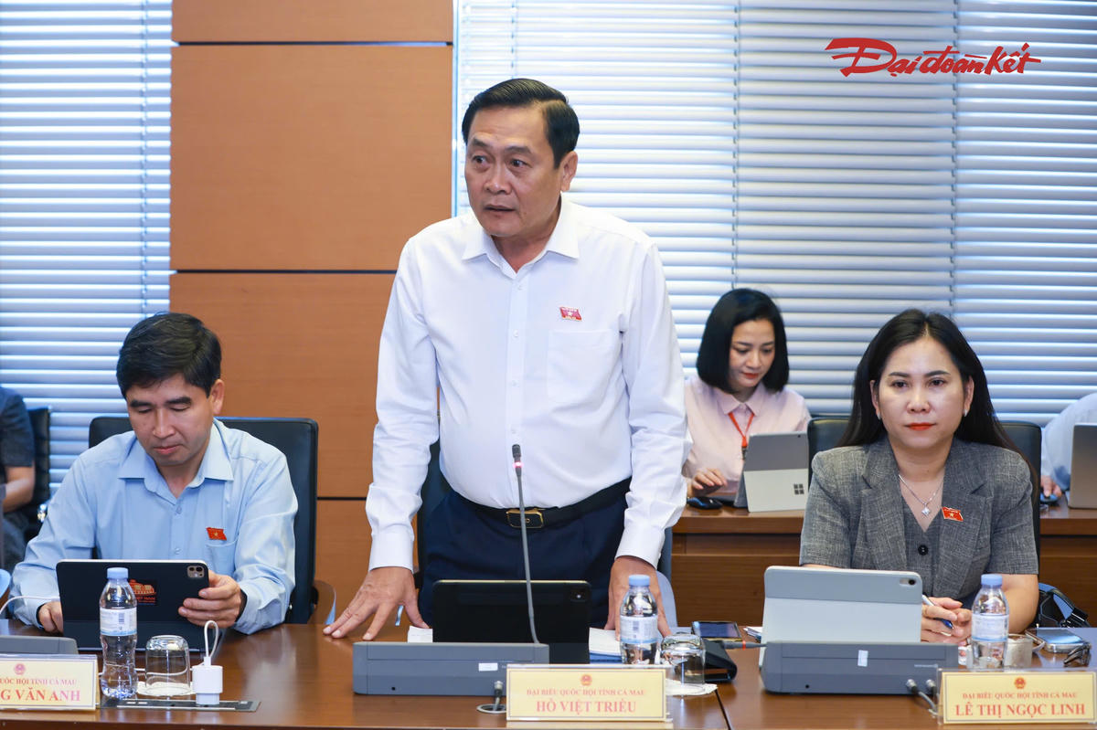 Đại biểu Quốc hội Hồ Việt Triều (Đoàn Cà Mau) phát biểu tại phiên thảo luận (Ảnh: Quang Vinh)