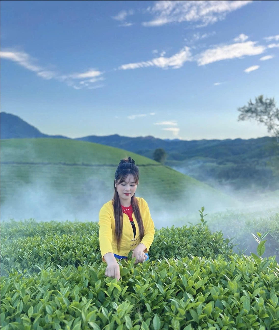 Ước tính có tới 50.000 lượt khách du lịch ghé thăm những đồi chè tuyệt đẹp ở Long Cốc năm nay.