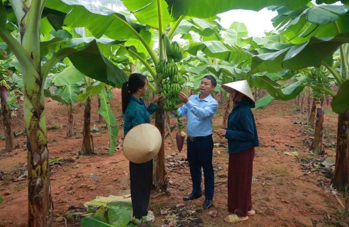 Nâng tầm “sinh kế xanh” cho đồng bào Long Cốc