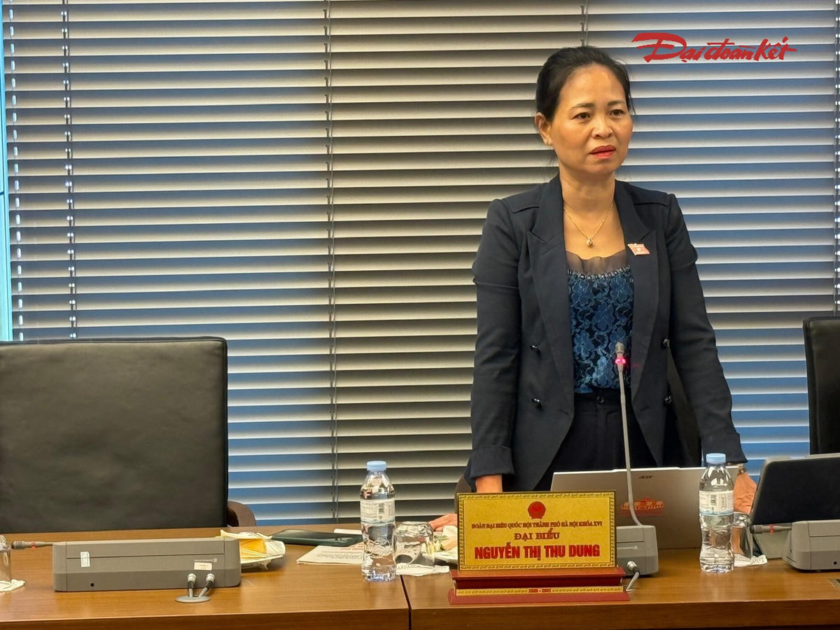 Bà Nguyễn Thị Thu Dung phát biểu (Ảnh: Quang Vinh)