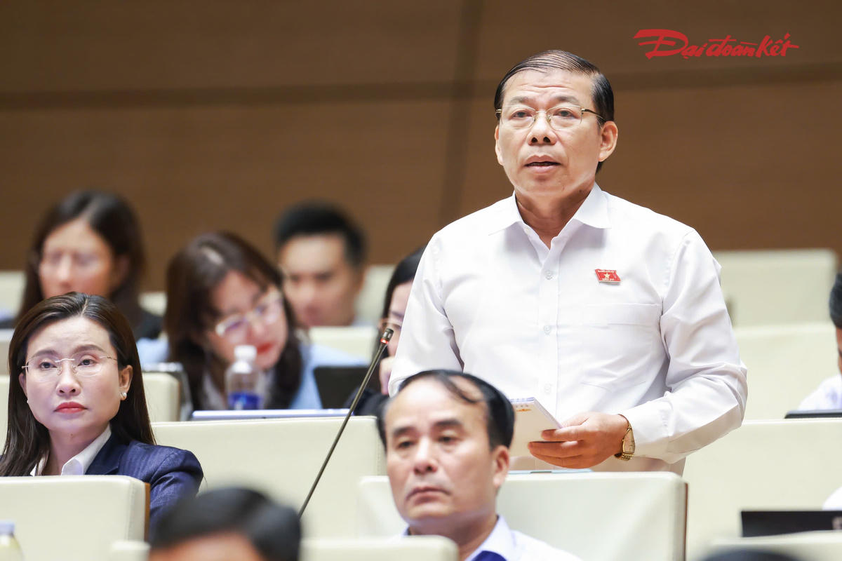 Đại biểu Quốc hội nêu ý kiến về dự thảo Bộ luật Hình sự (sửa đổi) 