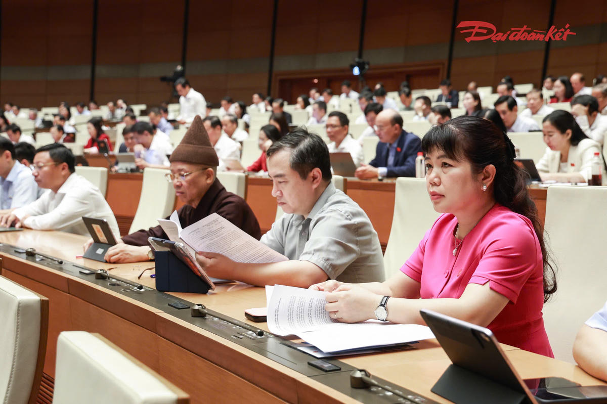 Các đại biểu tham dự phiên thảo luận (Ảnh: Quang Vinh)
