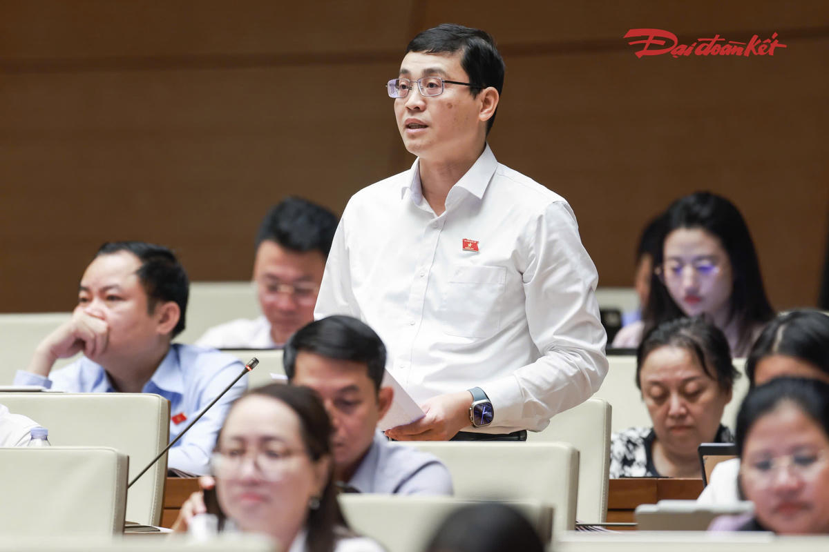 Ông Đỗ Đức Hiển phát biểu (Ảnh: Quang Vinh)