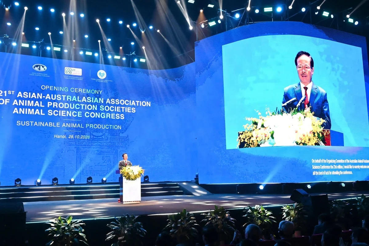 Theo TS. Nguyễn Xuân Dương, Chủ tịch Hội Chăn nuôi Việt Nam, Chủ tịch AAAP 2026, việc đăng cai hội nghị khẳng định vai trò và uy tín của Việt Nam trong cộng đồng chăn nuôi khu vực. Ảnh: Kiều Chi