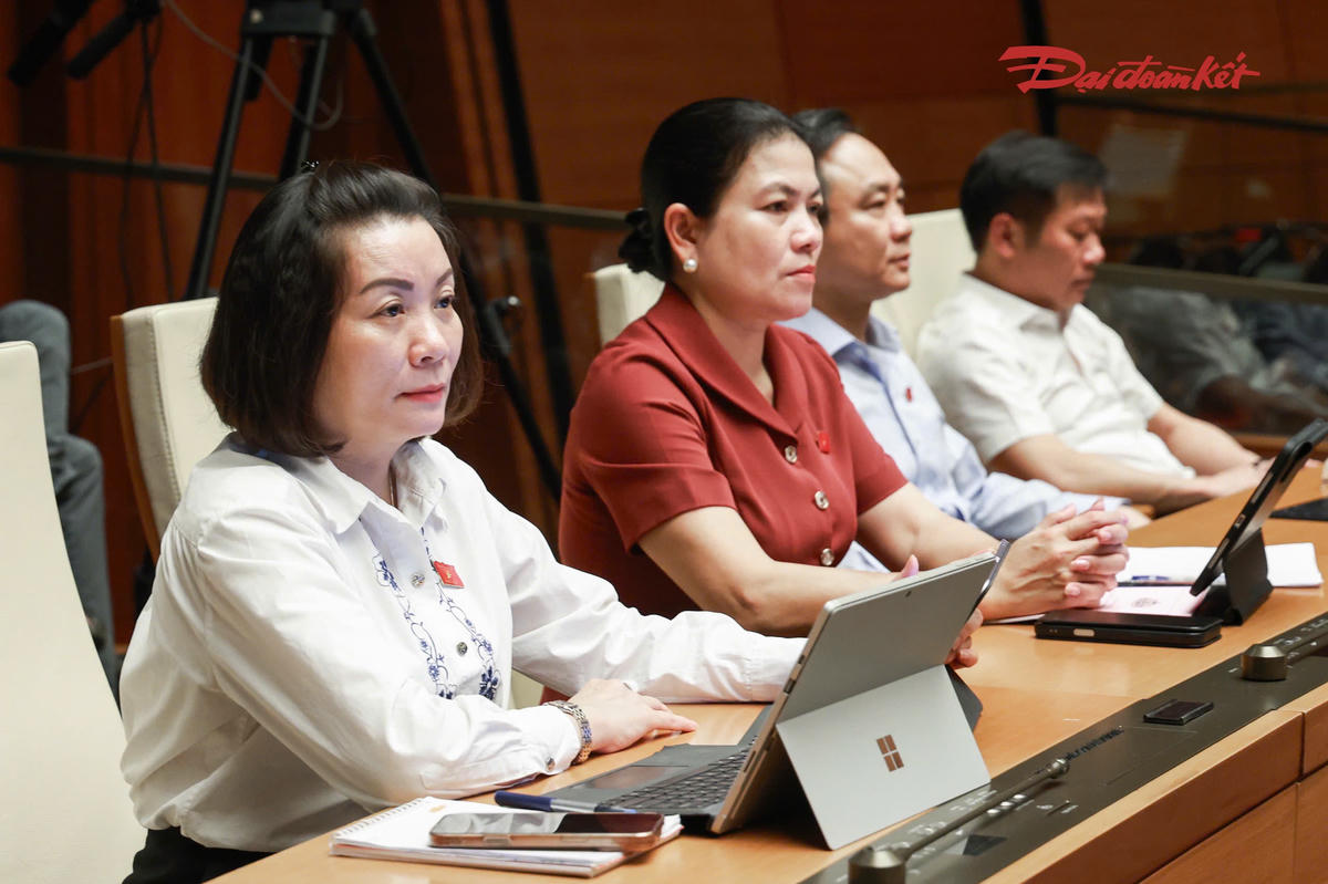 Các đại biểu tham dự phiên thảo luận (Ảnh: Quang Vinh)