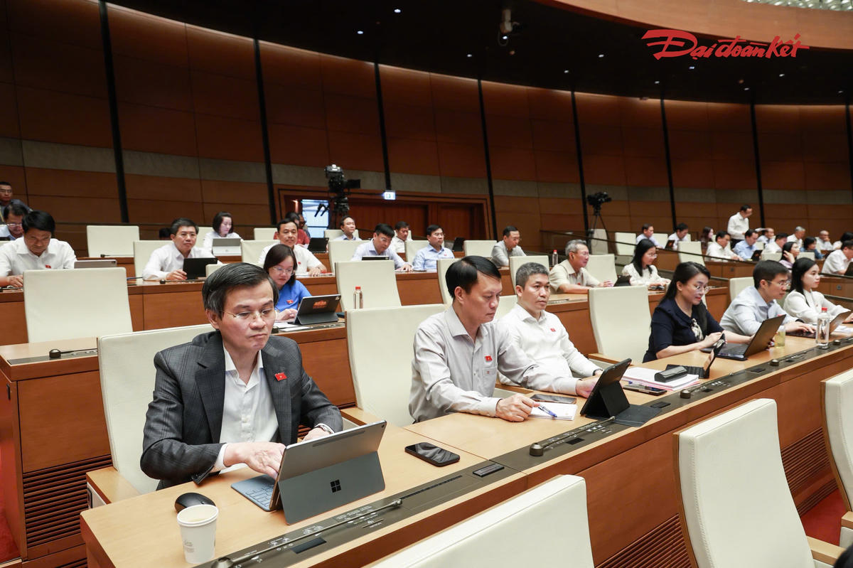 Các đại biểu tham dự phiên thảo luận (Ảnh: Quang Vinh)