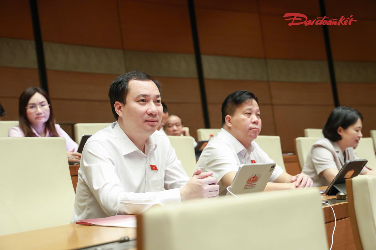 Các đại biểu tham dự phiên thảo luận (Ảnh: Quang Vinh)