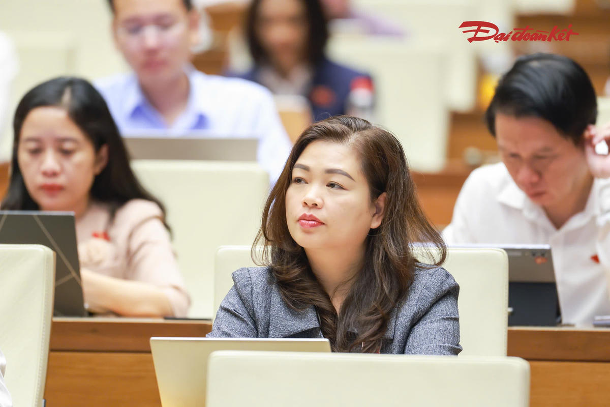 Các đại biểu Quốc hội tham dự phiên thảo luận (Ảnh: Quang Vinh)