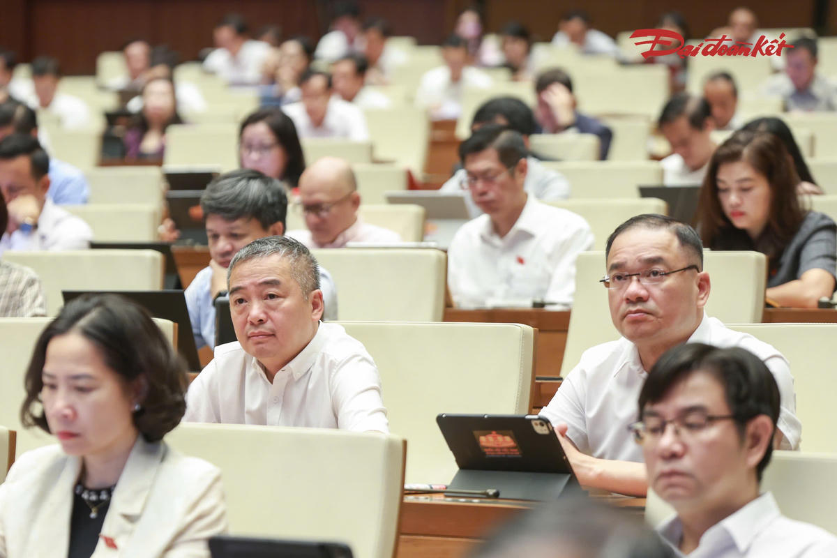 Các đại biểu tham dự phiên thảo luận (Ảnh: Quang Vinh)