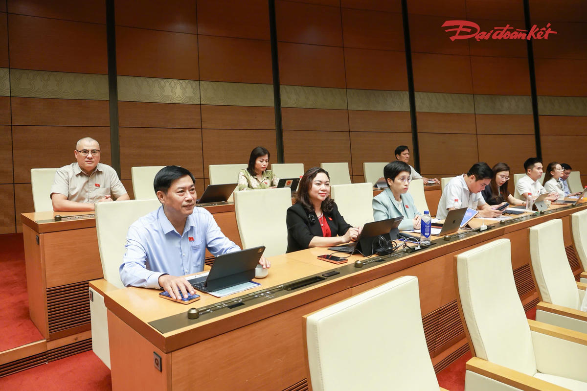 Các đại biểu Quốc hội tham dự phiên thảo luận (Ảnh: Quang Vinh)