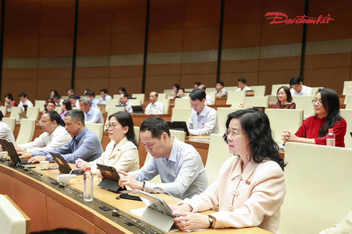 Các đại biểu tham dự phiên thảo luận. Ảnh: Quang Vinh