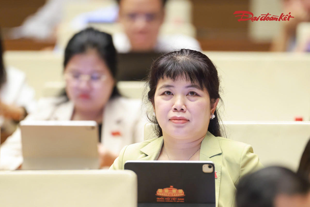 Các đại biểu tham dự phiên thảo luận (Ảnh: Quang Vinh)