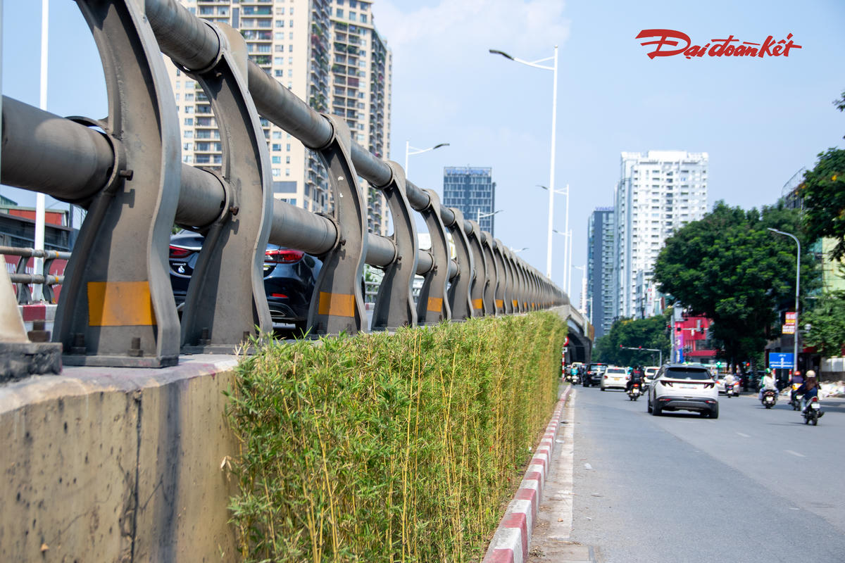 Việc bố trí cây xanh dọc mái taluy giúp khu vực cầu vượt có thêm mảng màu tự nhiên, giảm cảm giác khô cứng của các kết cấu bê tông.