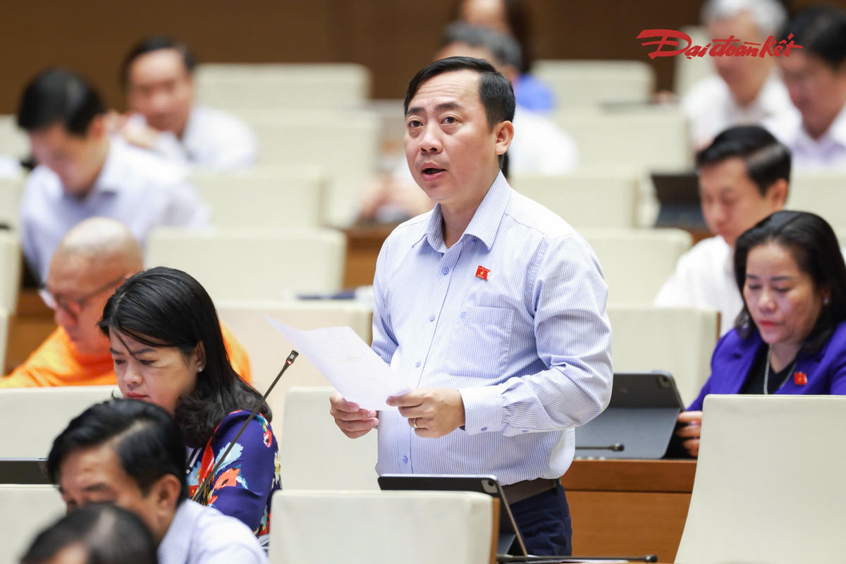 Ông Đào Chí Nghĩa phát biểu (Ảnh: Quang Vinh)