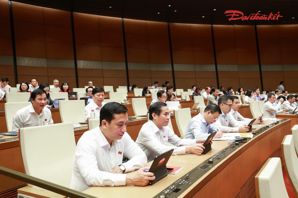 Các đại biểu tham dự phiên thảo luận (Ảnh: Quang Vinh)