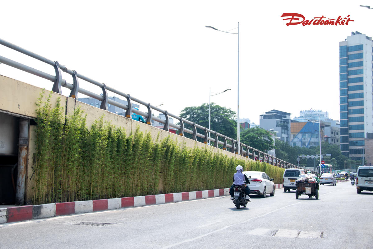 Theo ghi nhận của PV Báo Đại oàn kết, tại khu vực cầu vượt Lê Văn Lương - Láng Hạ, các hạng mục cải tạo, bổ sung cây xanh đã hoàn thành. Những hàng trúc xanh được trồng dọc hai bên mái taluy, tạo thành dải cây chạy theo chiều dài công trình.