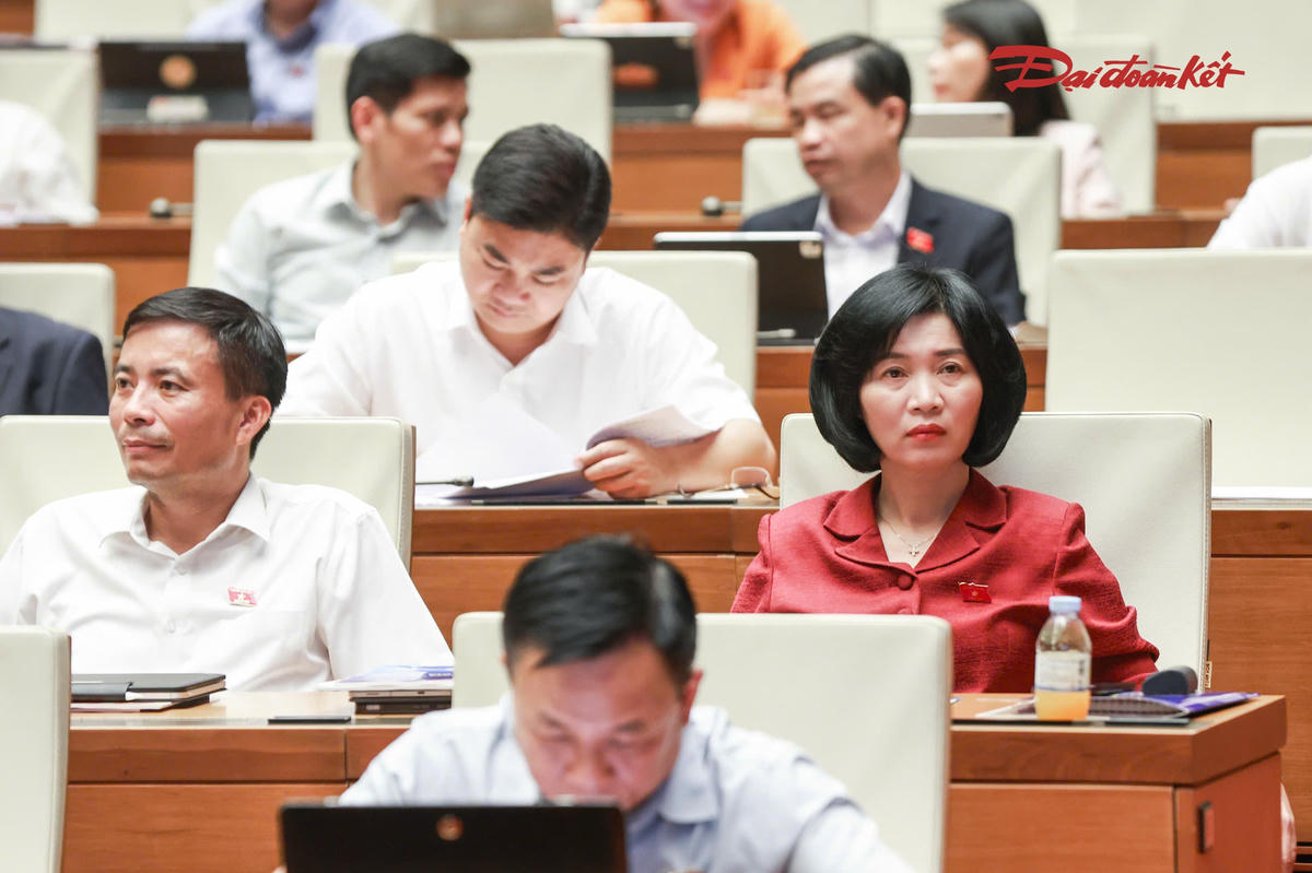 Các đại biểu tham dự phiên thảo luận. Ảnh: Quang Vinh