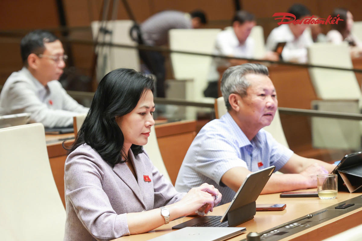 Các đại biểu tham dự phiên thảo luận (Ảnh: Quang Vinh)