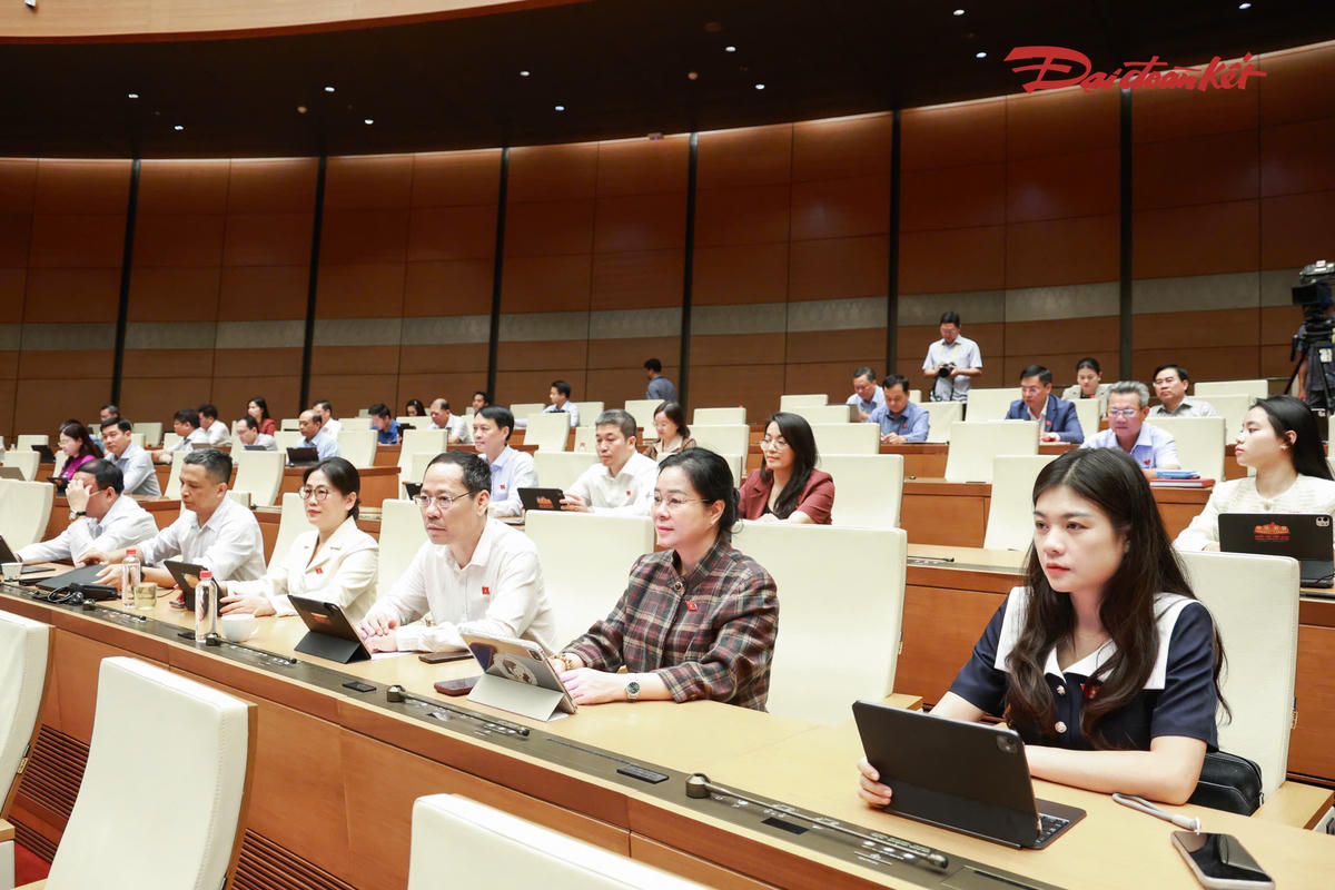 Các đại biểu tham dự phiên thảo luận. Ảnh: Quang Vinh